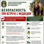 Памятка при встрече с медведями